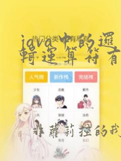 java中的逻辑运算符有哪些