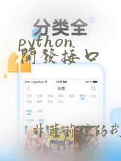 python 开发接口