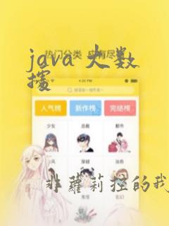 java 大数据