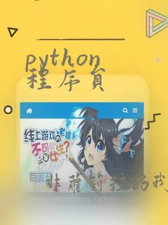 python 程序员