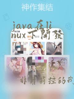 java在linux下开发