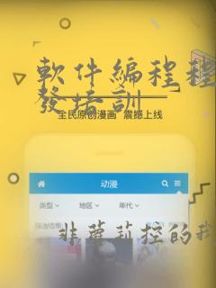 软件编程程序开发培训