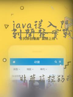 java从入门到开发实战