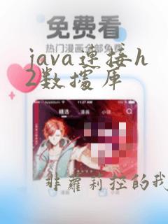java连接h2数据库