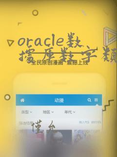 oracle数据库数字类型