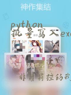 python 批量写入excel