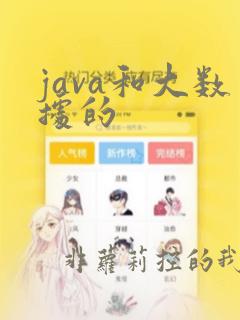 java和大数据的