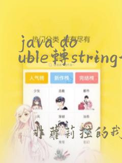 java double转string保留两位小数