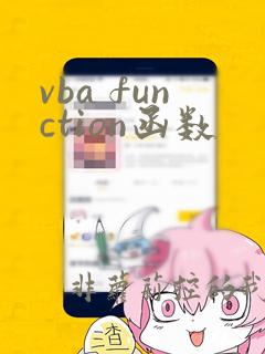 vba function函数