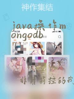 java操作mongodb
