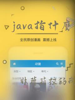 java指什么