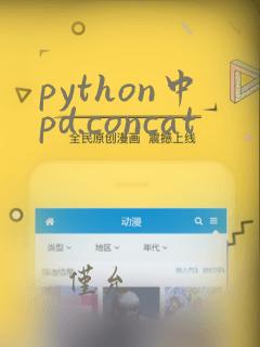 python中pd.concat