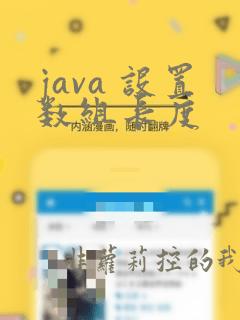 java 设置数组长度