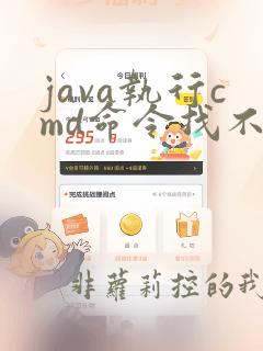 java执行cmd命令找不到指定文件