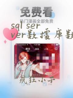 sql server数据库数据备份