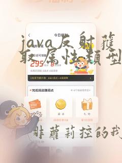 java反射获取属性类型
