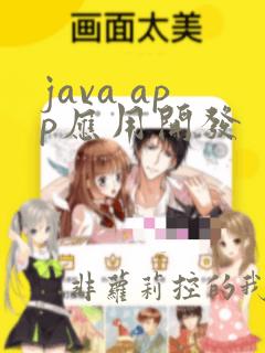java app应用开发