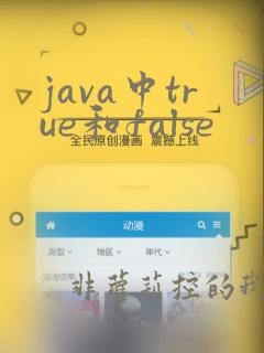 java中true和false