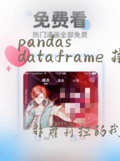 pandas dataframe 排序