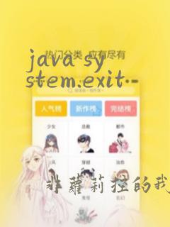 java system.exit