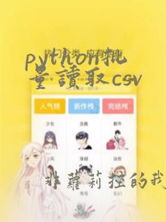 python批量读取csv