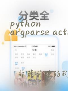 python argparse action