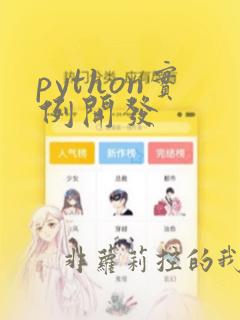 python实例开发
