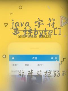 java 字符串转byte[]