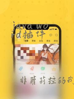 java word插件