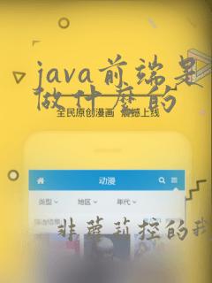 java前端是做什么的