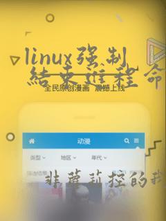 linux强制结束进程命令