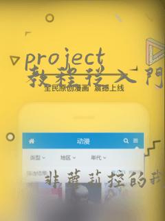 project教程从入门到精通