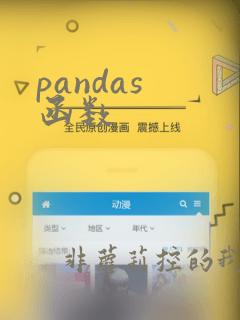 pandas 函数