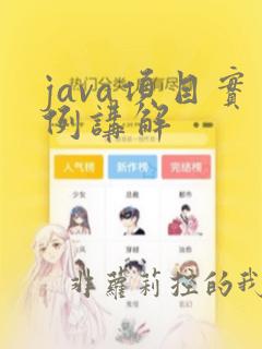 java项目实例讲解