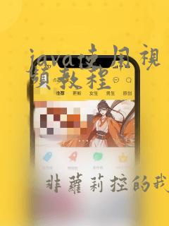 java使用视频教程