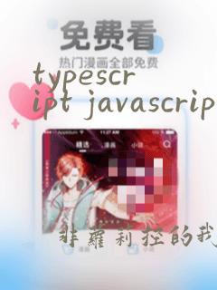 typescript javascript区别
