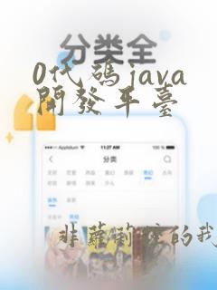 0代码java开发平台