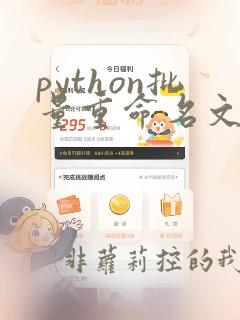 python批量重命名文件