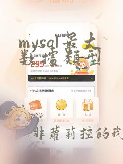 mysql最大数据类型