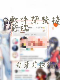 软件开发后端和前端