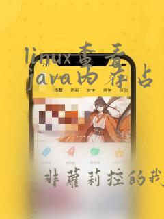 linux查看java内存占用