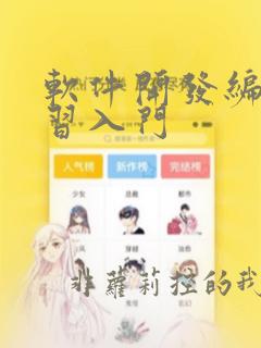 软件开发编程学习入门