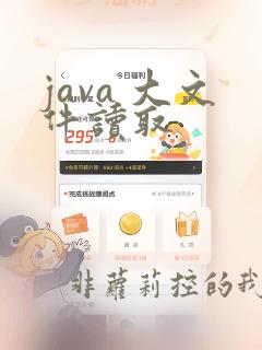 java 大文件读取