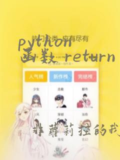python 函数 return