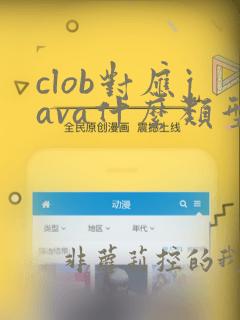 clob对应java什么类型
