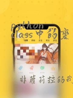 python class中的变量