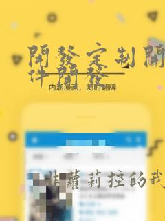 开发定制开发软件开发