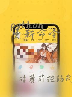 python 更新命令