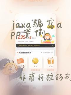 java编写app实例