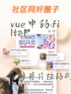 vue中的filter